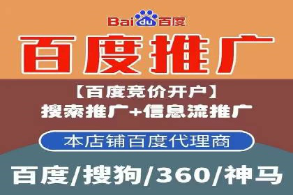 百度SEO推广公司案例分享：行业佼佼者经验